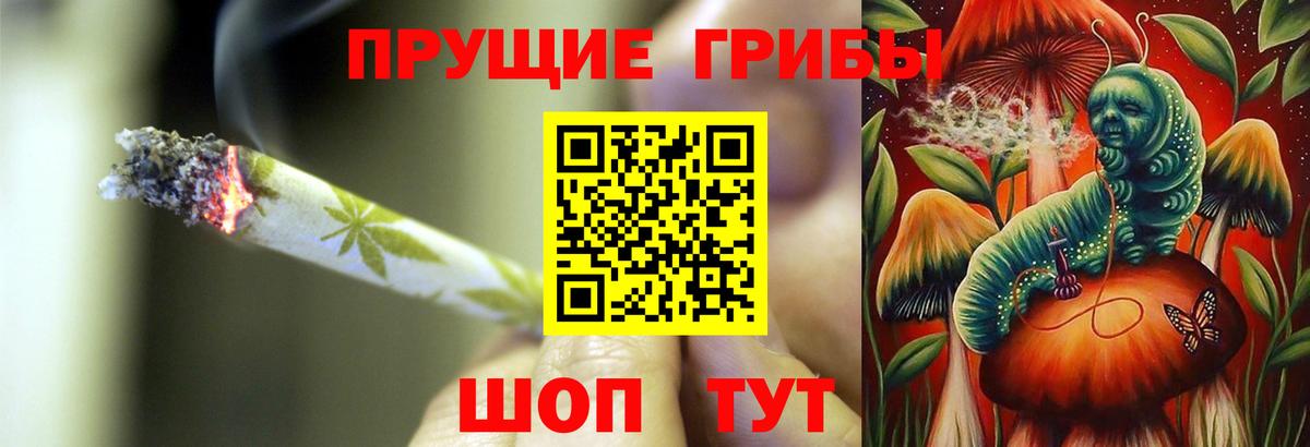Псилоцибиновые грибы MAGIC MUSHROOMS Видное